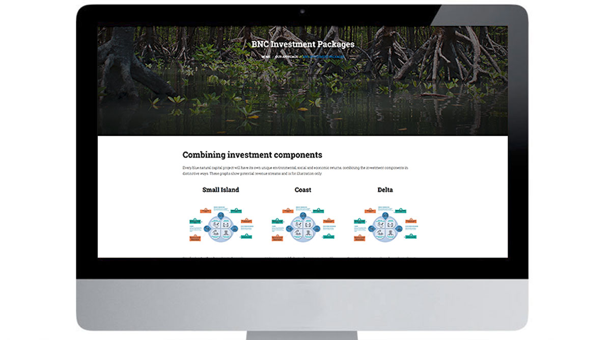screen picture of Blue Natural Capital Financing Facilities