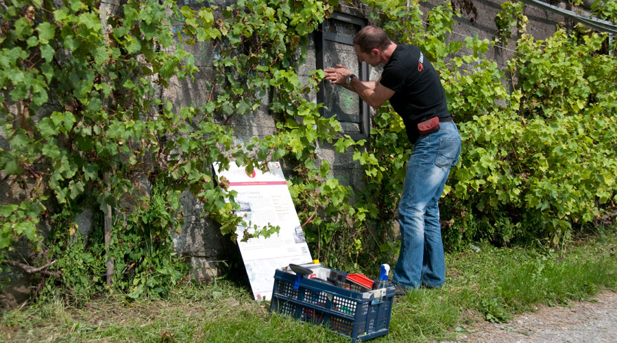 Weinweg Höngg Tafelmontage Grafitec